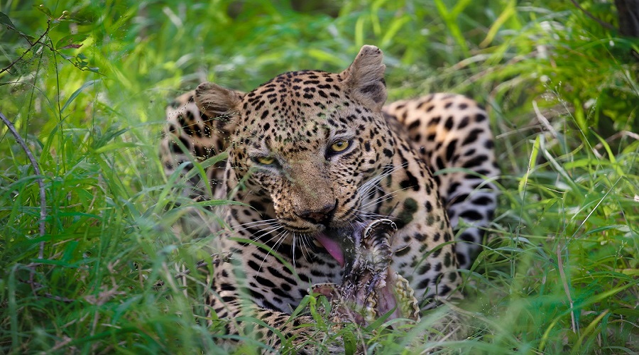 15-Day Tanzania Safari & Zanzibar Holiday – Private & Tailor-Made