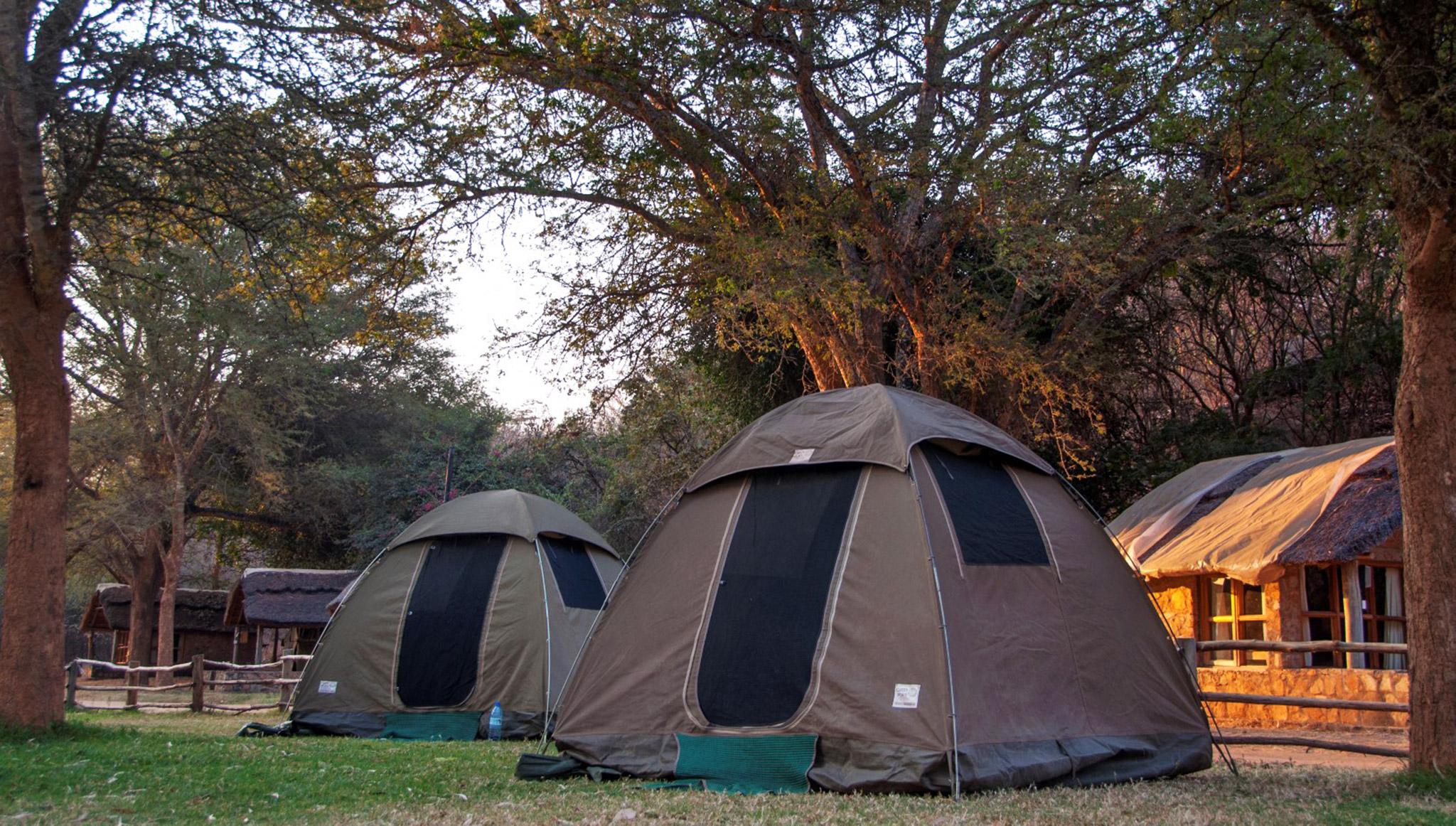 🌍 4 Days Tanzania Camping Safari Escape - Serengeti National Park, Ngorongoro Crater, Lake Manyara National Park